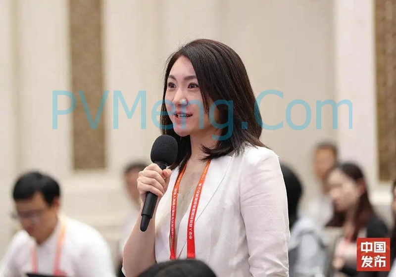 国新办举行新闻发布会 介绍“深化提升‘获得电力’服务水平 全面打造现代化用电营商环境”有关情况20250605