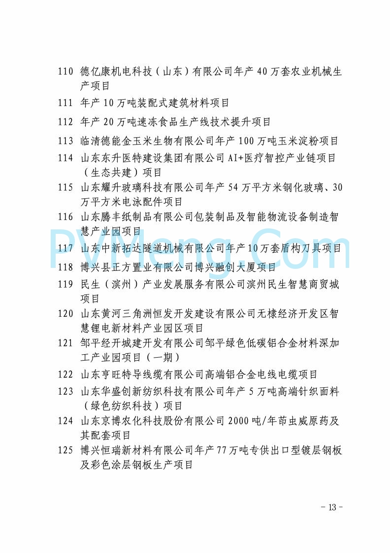 山东省发改委关于印发2025年省级重点项目调整名单的通知20250726