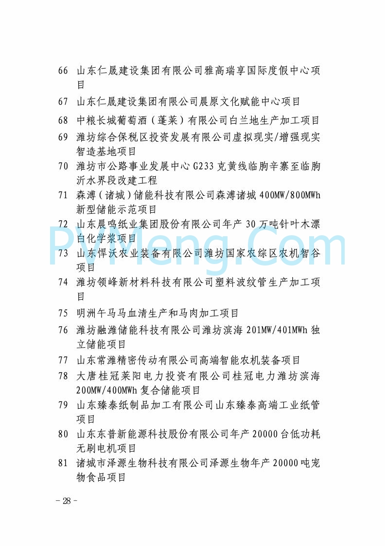 山东省发改委关于印发2025年省级重点项目调整名单的通知20250726