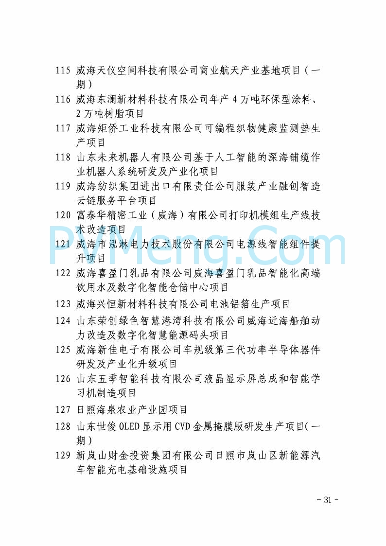 山东省发改委关于印发2025年省级重点项目调整名单的通知20250726
