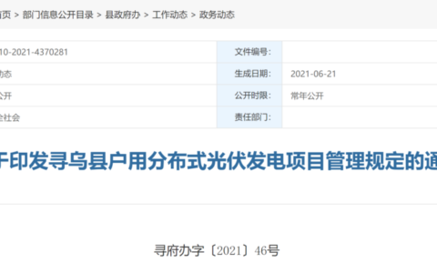 关于印发寻乌县户用分布式光伏发电项目管理规定的通知（寻府办字〔2021〕46号）20210617
