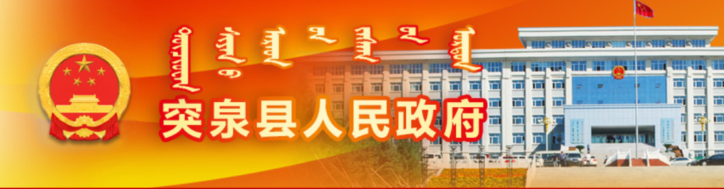 突泉县人民政府办公室关于推进屋顶分布式光伏开发试点工作的通知 20210705